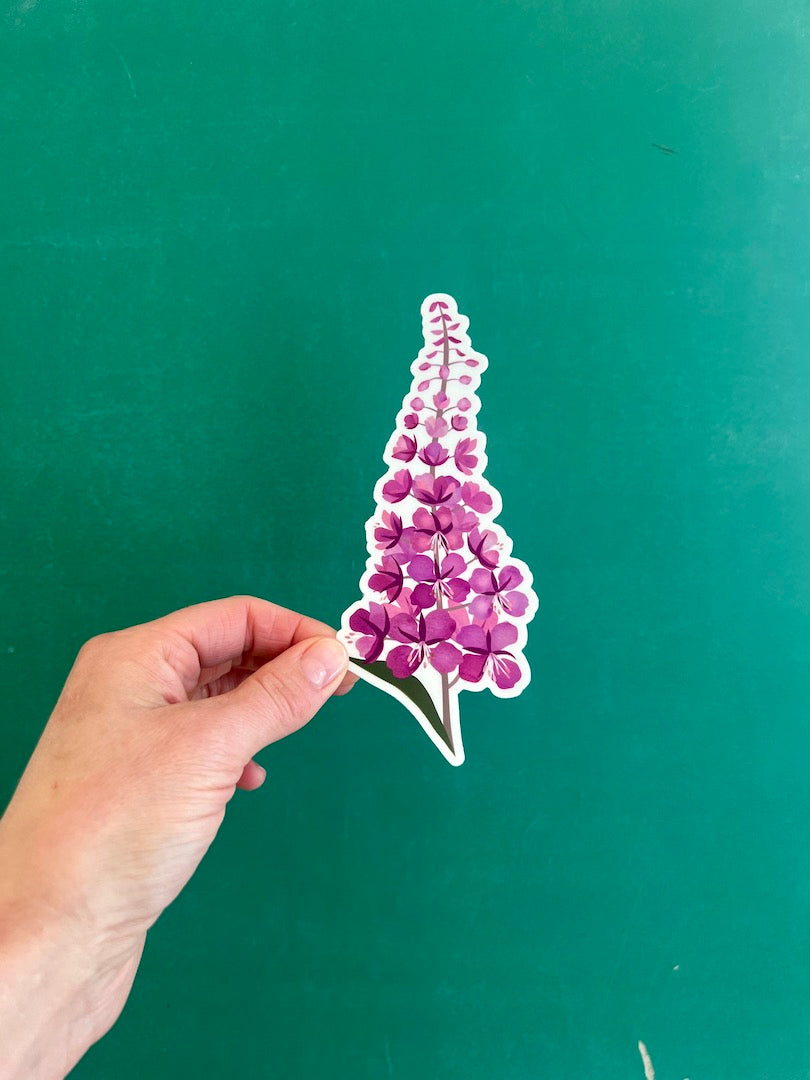 6 Inch Fireweed - Vinyl Sticker