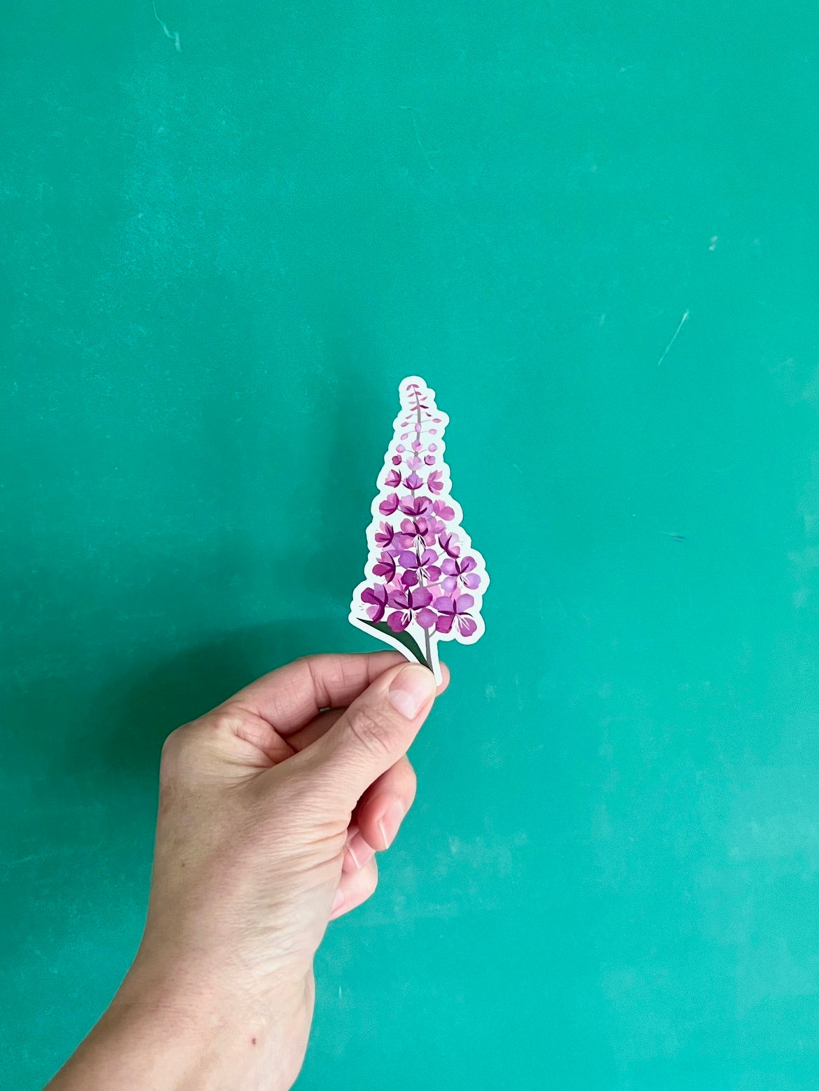 Fireweed - Vinyl Sticker