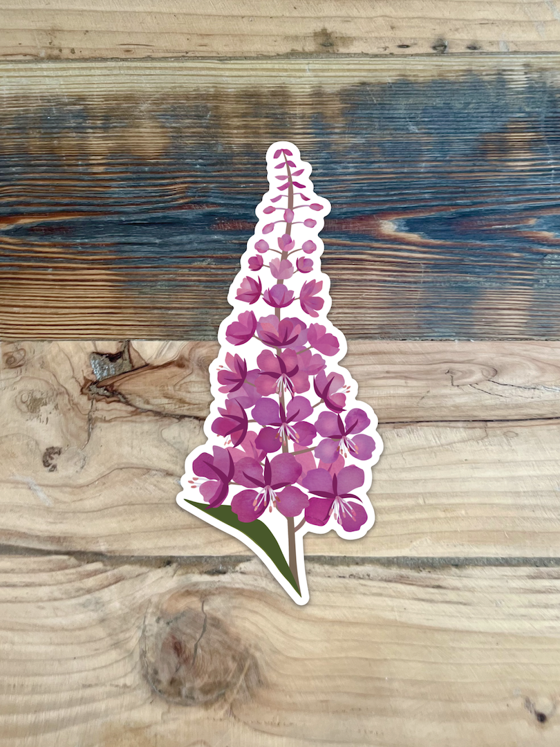 6 Inch Fireweed -  Vinyl Sticker