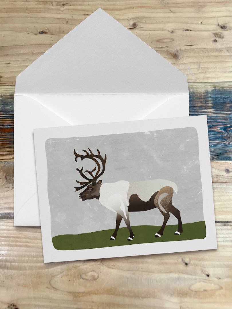 Alaska Wildlife Series Notecards