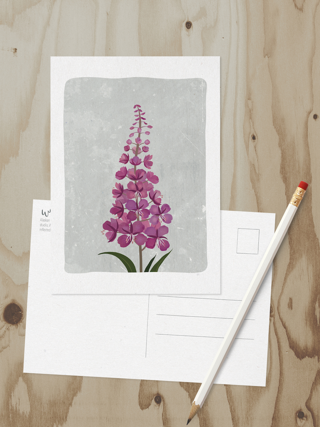 Alaska Wildlife Series Post Cards
