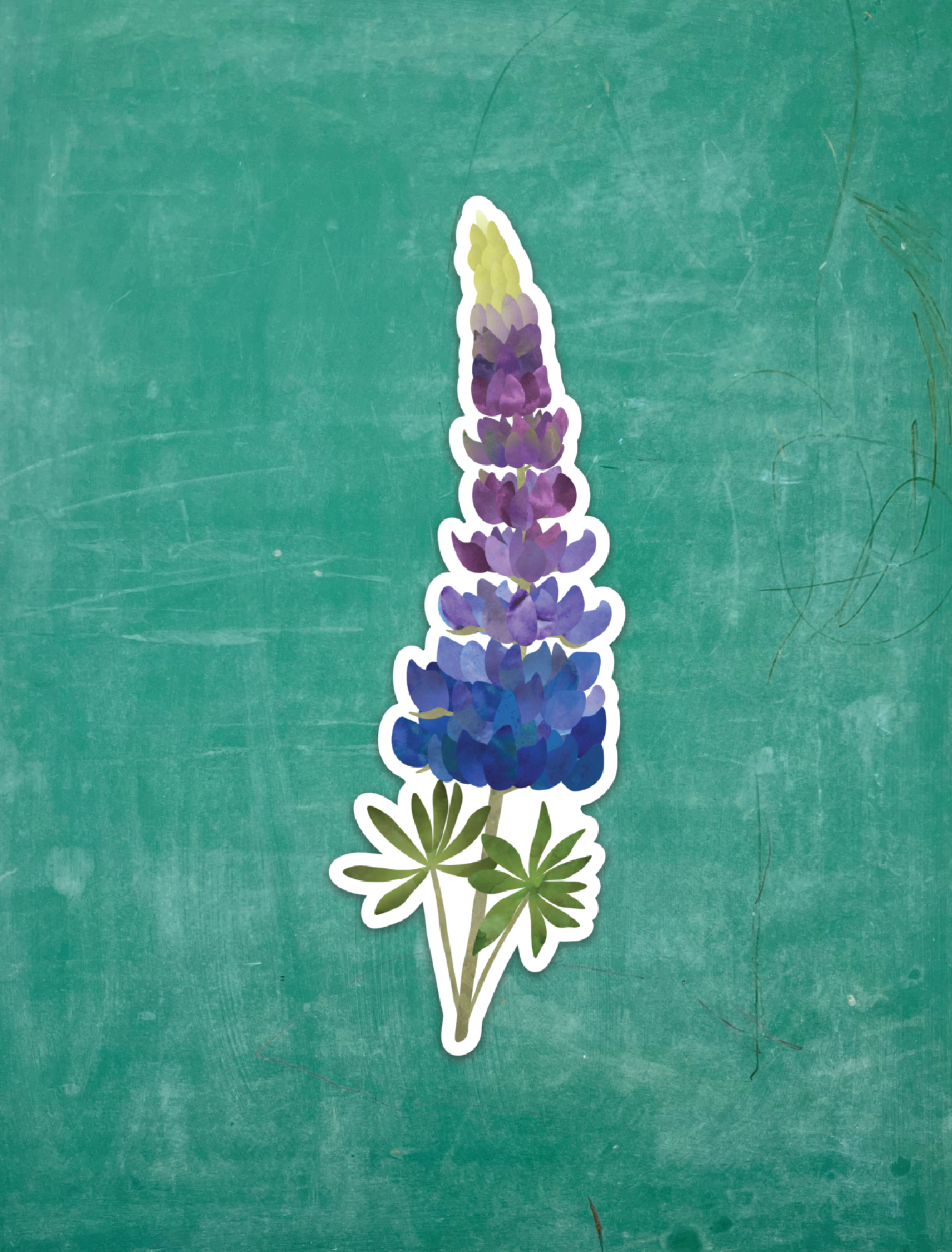 Lupine - Vinyl Sticker