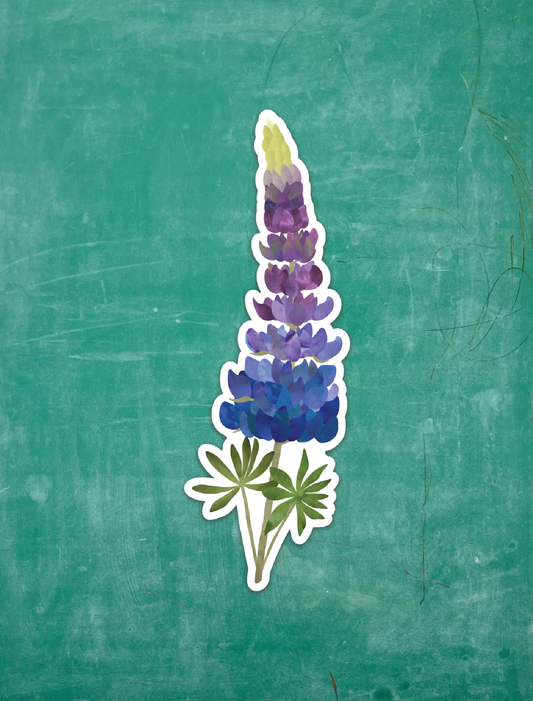 Lupine - Vinyl Sticker