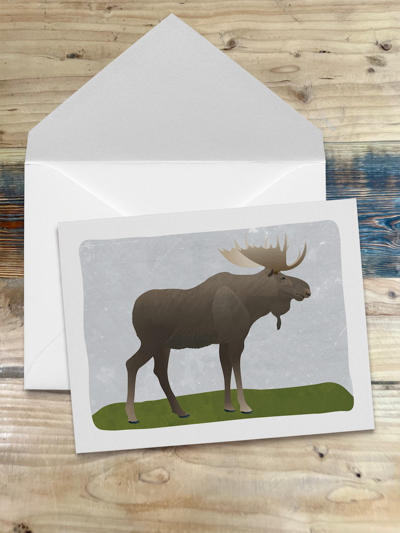 Alaska Wildlife Series Notecards