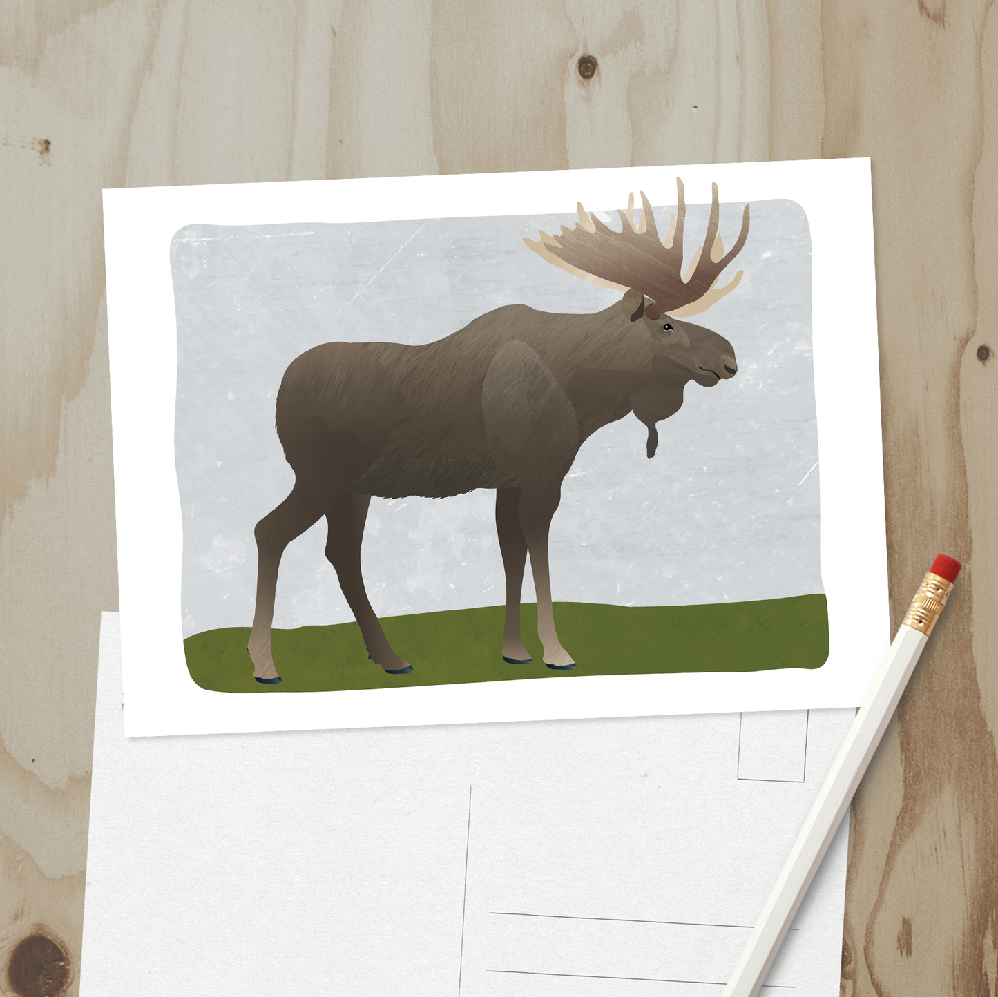 Alaska Wildlife Series Post Cards