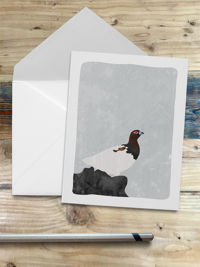 Alaska Wildlife Series Notecards